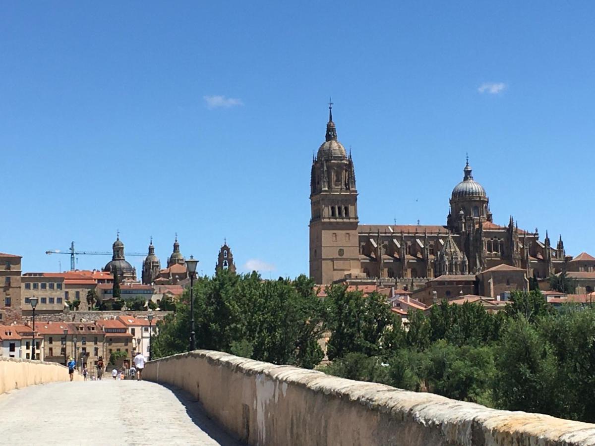 Acogedor Apartamento Puente Romano !!! Salamanca Dış mekan fotoğraf