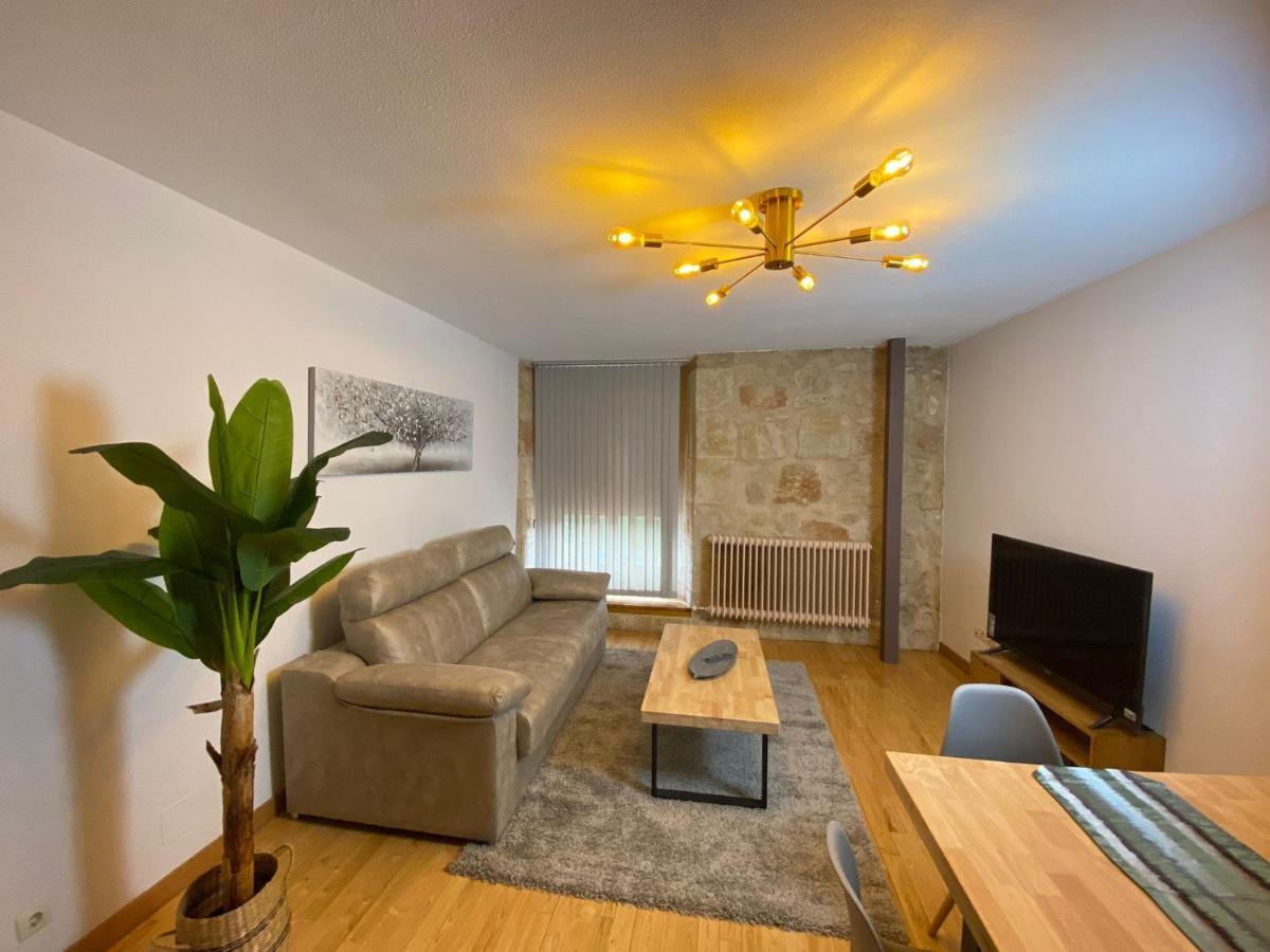 Acogedor Apartamento Puente Romano !!! Salamanca Dış mekan fotoğraf