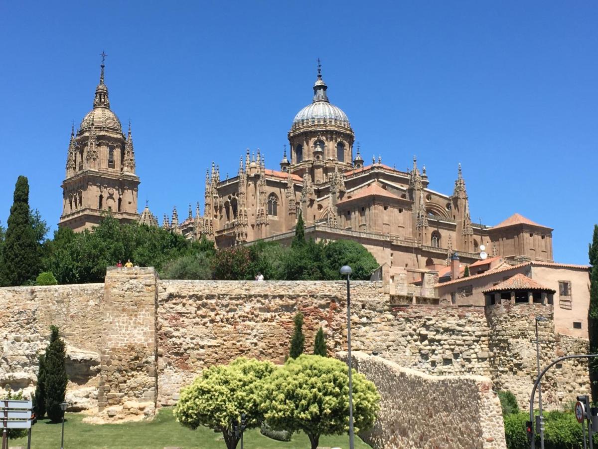 Acogedor Apartamento Puente Romano !!! Salamanca Dış mekan fotoğraf